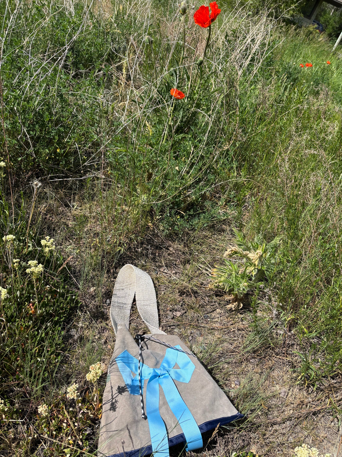 Bow Canvas Bag