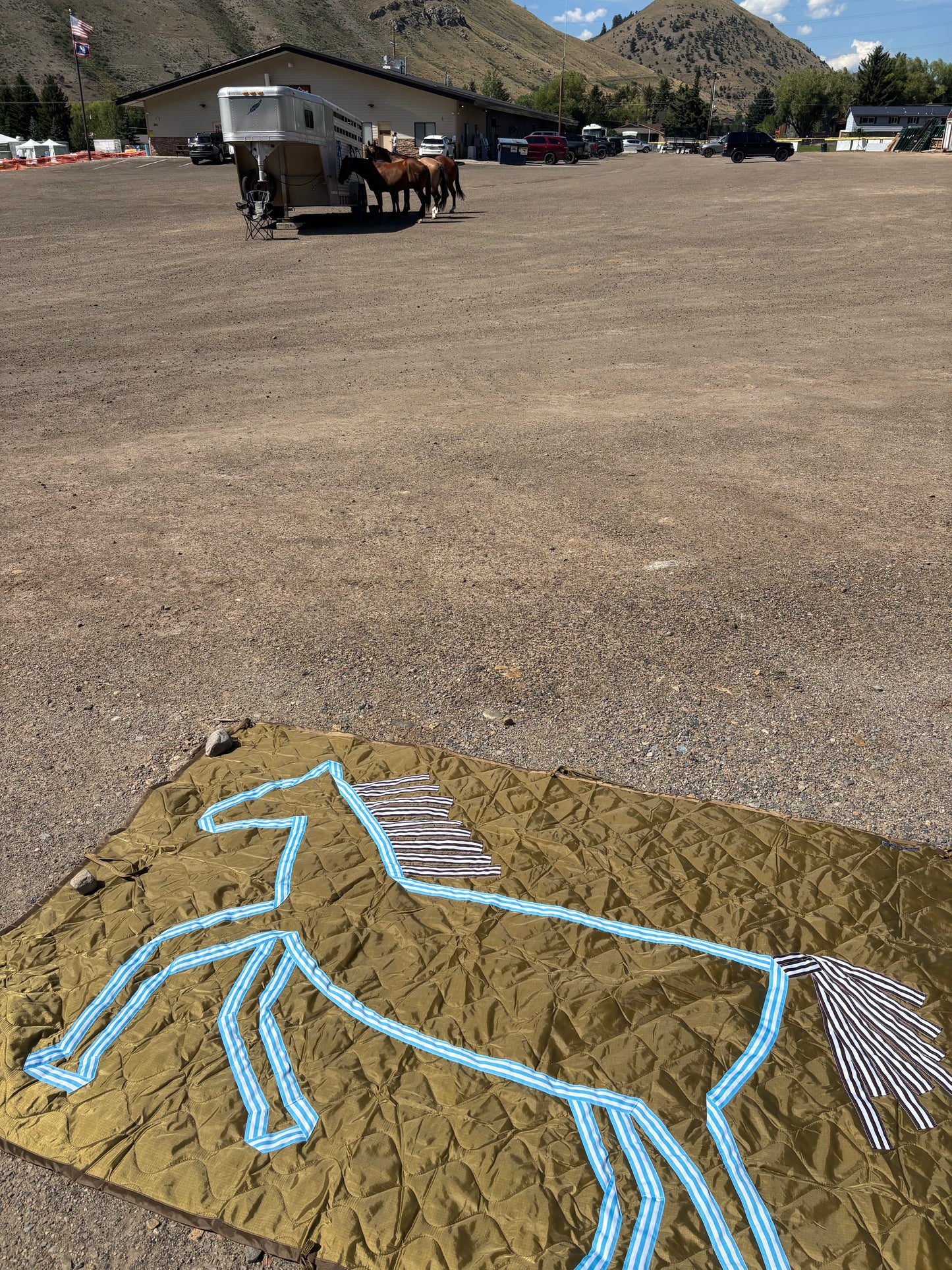 No. 3: Horse Blanket