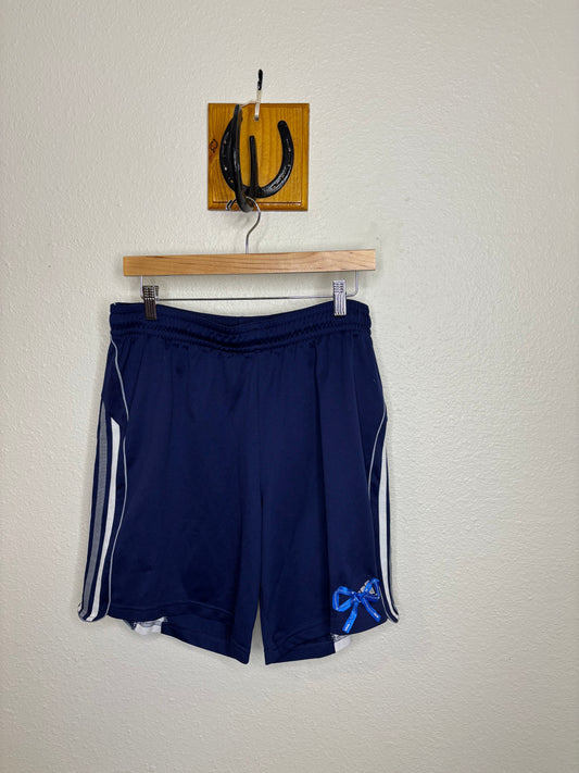 Blue and Grey Team