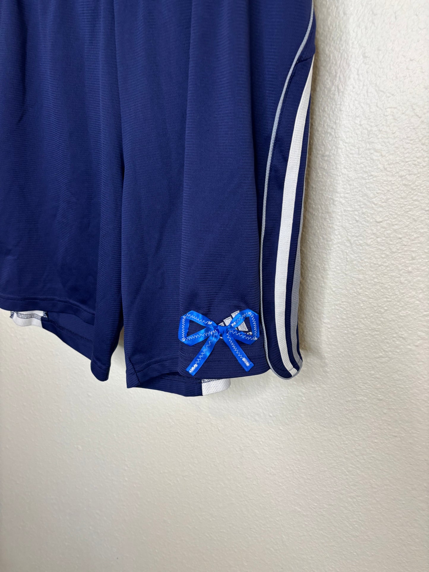 Blue and Grey Team