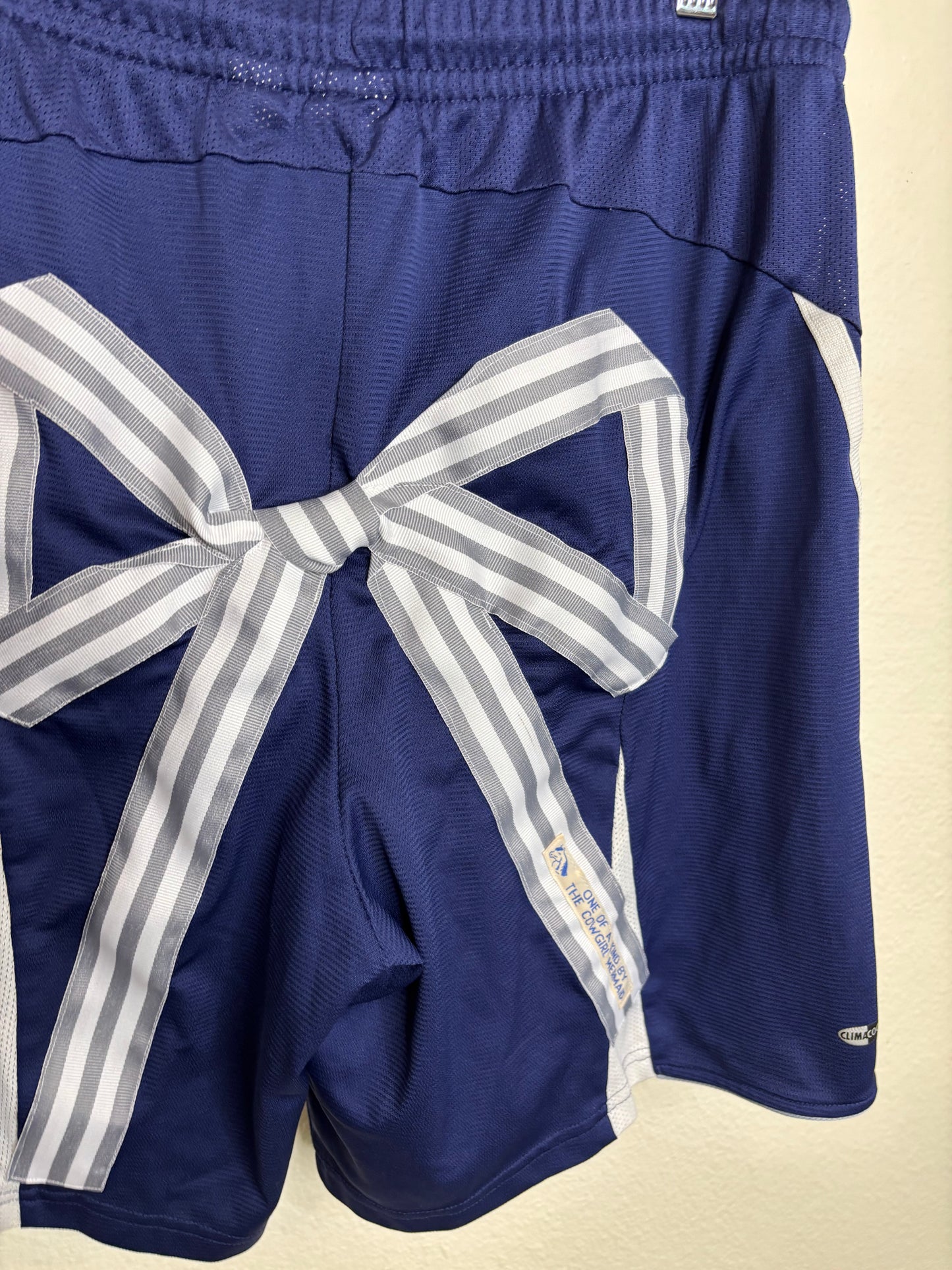 Blue and Grey Team