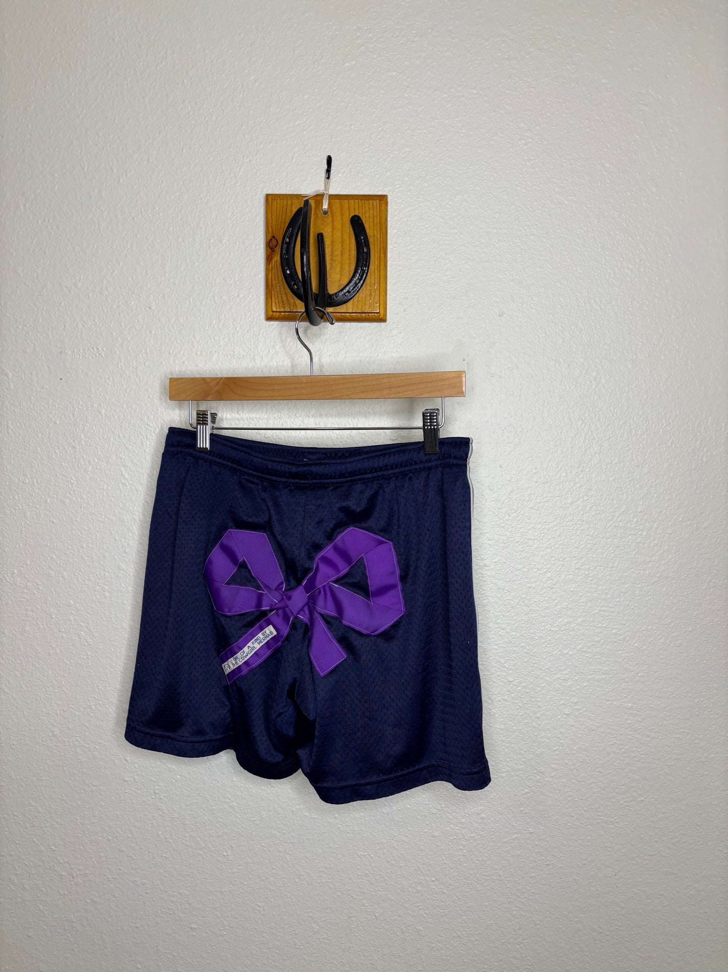 Blue and Purple Team