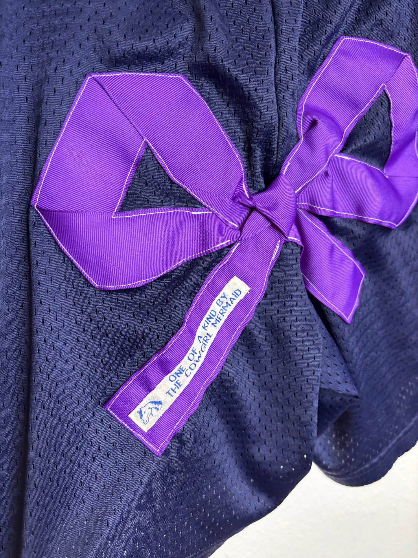 Blue and Purple Team