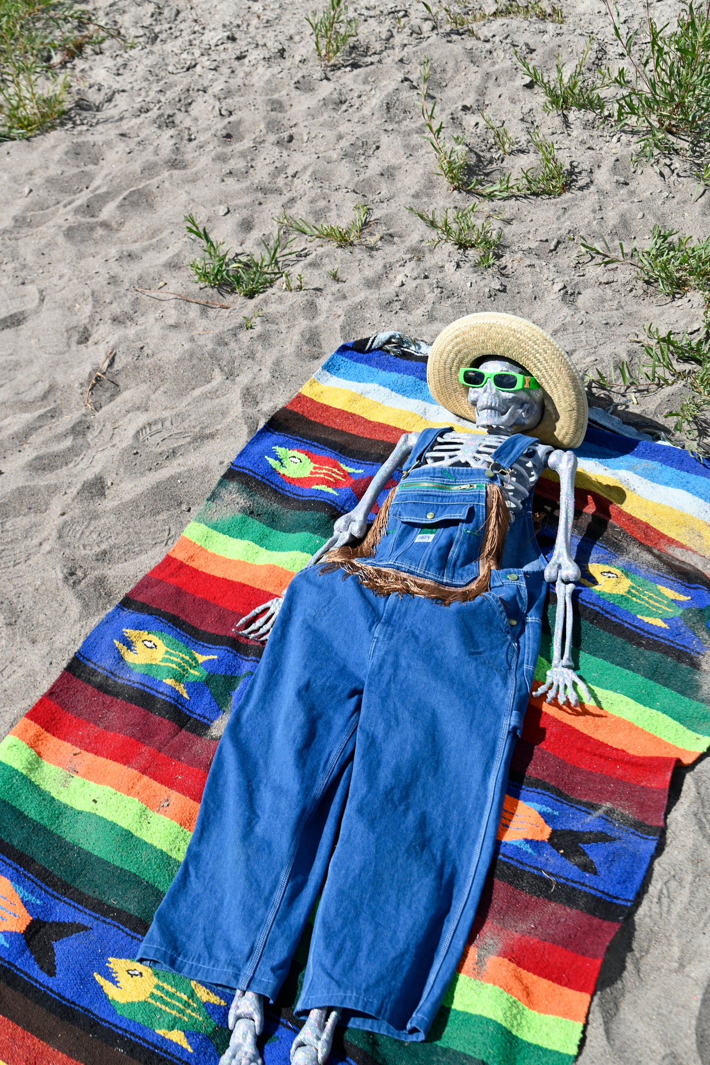 Fringe Overalls